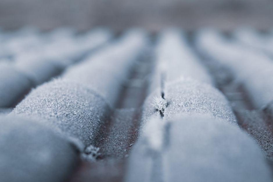 Expertise in Denver's Climate