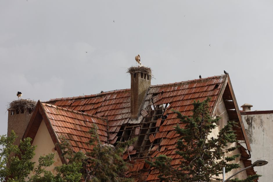 Expert Storm Damage Repair Denver