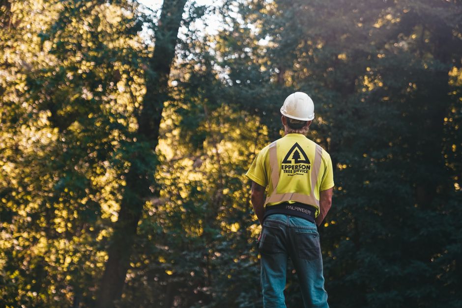 Professional Roofing Services Denver